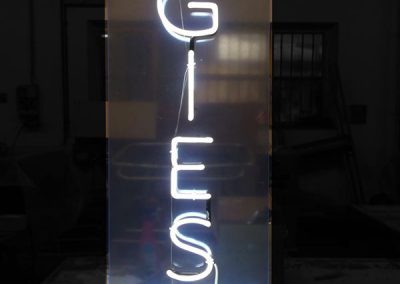 NEON-ZGIES