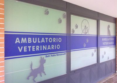 vetrofania-con-fondo-effetto-satinato-e-decorazione-adesiva-prespaziata